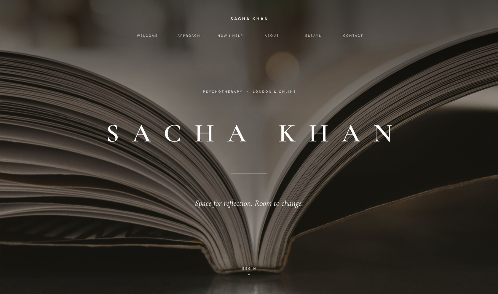 Sacha Khan website - home